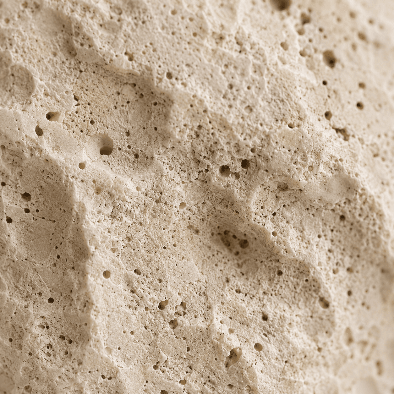 PORTALE — macro du corps travertin, pores et creux